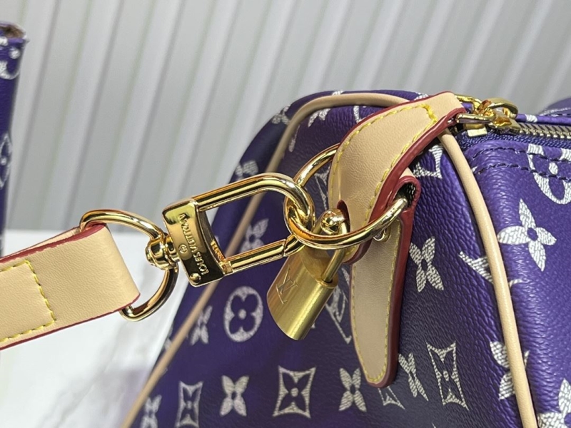 LV Travel Bags